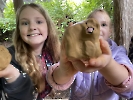 Projektwoche Klima und Nachhaltigkeit_6