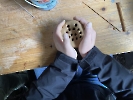 Projektwoche Klima und Nachhaltigkeit_8